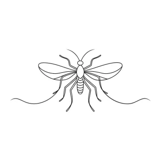 Mosquito One-Line Mosquito Drawing: Practice Slender Form and Detail Awareness