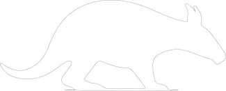 Aardvark "One-Line Aardvark Art: A Simplified Approach to Capturing Recognizable Animal Figures"