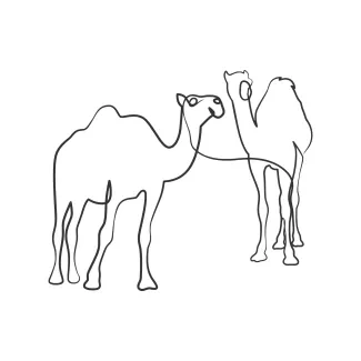 Camel Draw a Camel Using One Line: Build Your Art Skills Through Simple Animal Shapes