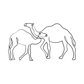 Camel One-Line Camel Drawing: Explore Animal Structure with Simple Techniques