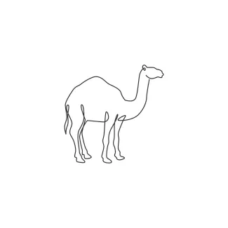 Desert Arab Camel One Line Desert Camel Drawing: Practice Tall Animal Shapes in Simple Form