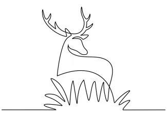 Deer Simple Deer Drawing in One Line: Learn Forest Animal Shapes Step-by-Step