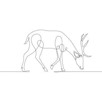 Deer "One-Line Deer Illustration: A Simple and Effective Approach to Wildlife Silhouettes"