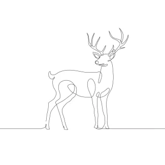 Deer "Minimalist Deer Sketch: A One-Line Approach to Capturing Wildlife Form and Structure"