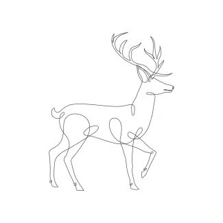 Deer "One-Line Deer Sketch: A Straightforward Approach to Simplifying Natural Forms"