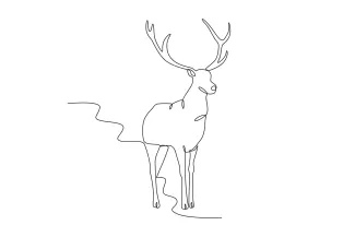 Deer One-Line Forest Deer Drawing: Learn Animal Shape with Easy, Simple Lines