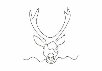 Deer One Line Deer Drawing: Develop Observation with Simple Nature Sketches
