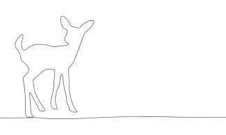 Little Deer Draw a Little Deer in One Line: Practice Small Animal Forms with Simple Art