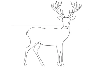 Draw a Wild Deer in One Line: Simple Forest Scene Practice for Beginners