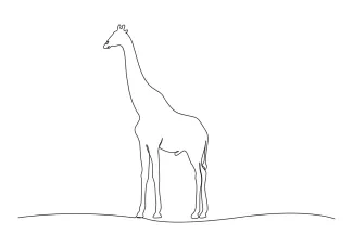 Giraffe "Minimalist Giraffe Sketch: A One-Line Study of Wildlife Elegance"