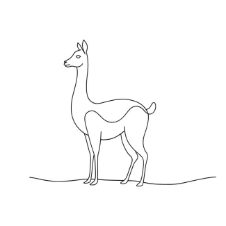 Guanaco "One-Line Guanaco Drawing: A Minimalist Approach to Agile Wildlife Forms"