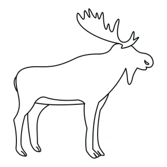Moose Moose One-Line Drawing: Learn to Simplify Large Animal Shapes with Minimal Art
