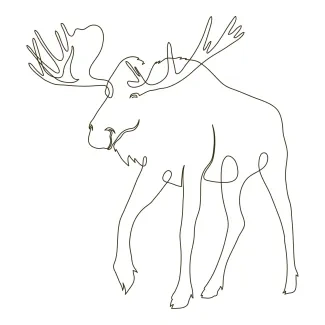 Wild Moose Wild Moose One-Line Drawing: Practice Strong Animal Shapes with Easy Drawing Technique