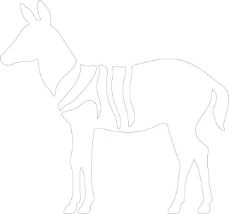 Okapi One-Line Okapi Drawing: Practice Rare Animal Forms with Easy Art