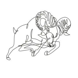 Bighorn Sheep Ram Jumping Attacking One Line Bighorn Ram Drawing: Learn Action and Form with One Continuous Line