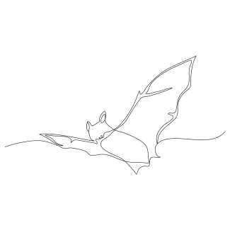 Bat Flying Draw a Flying Bat in One Line: Fun and Spooky Practice for All Ages