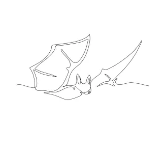 Bat Flying Flying Bat in One Line Drawing: A Simple Way to Practice Wings and Shape