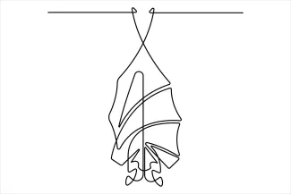 Bat Halloween Halloween Bat One Line Drawing: Fun and Spooky Art for Kids