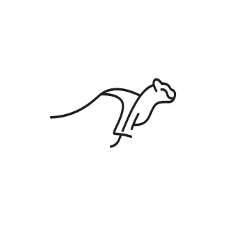Simple Cheetah Drawing in One Line: Easy Wildlife Art