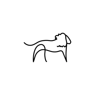 Lion "One Line Lion Sketch: A Simple Way to Draw the King of the Jungle"