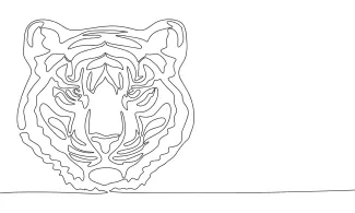 Tiger Head Tiger Head Drawing with One Line: Learn to Draw Strong Faces with Simple Shapes