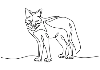 Fox "Minimalist Fox Drawing: Depicting a Clever and Elegant Animal with One Line Art"