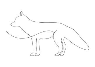 "Continuous Line Fox Art: Capturing Energy and Personality with Minimalist Style"