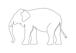 Elephant in One Line: Learn Animal Form with a Quick and Easy Style