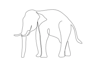 Easy Elephant One-Line Drawing: Learn to Draw Big Animals Step by Step