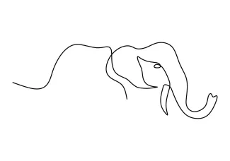 Elephant Head "One-Line Elephant Head Drawing: A Minimalist Approach to Capturing Iconic Wildlife Forms"