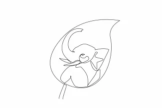 Elephant Head Simple One-Line Elephant Head Art: Beginner Practice with Wild Animal Features