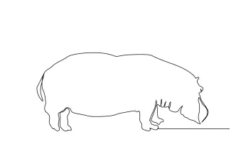 Hippopotamus Animal Hippopotamus in One Line: Simple Drawing Practice for Young Artists