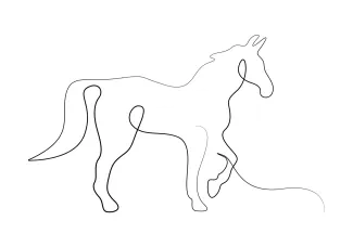 Horse Horse in One Line Drawing: Easy Animal Art for Learning Shapes