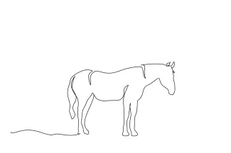 Horse "Minimalist Horse Drawing: Capturing Elegance and Strength with One Line Art"