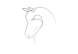 Horse Head Horse Head in One Line: Learn Animal Features with Simple Drawing