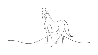 Horse "One Line Horse Drawing: Illustrating Strength and Motion with Minimalist Art"