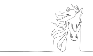 Horse Head Horse Head in One Line: Learn Facial Features in a Simple Drawing Style
