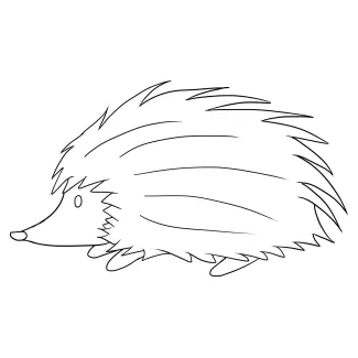 "Minimalist Hedgehog Drawing: Capturing a Playful and Spiky Animal in One Stroke"