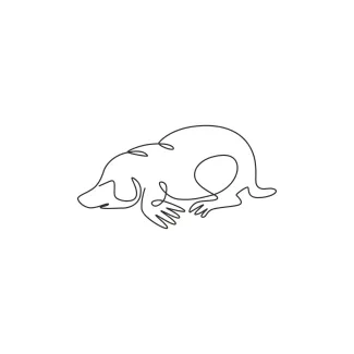 "One Line Mole Drawing: Capturing a Burrowing Mammal with Minimalist Style"