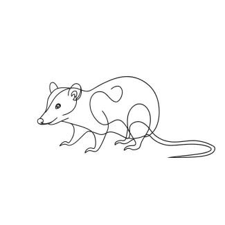 Opossum "Minimalist Opossum Sketch: Depicting a Nocturnal Mammal with Simple Techniques"
