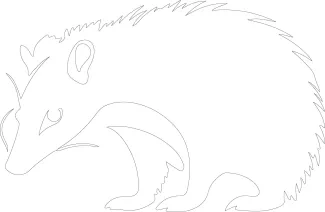 Virginia Opossum Simple Opossum One Line Art: Practice Drawing Unique Wildlife Easily
