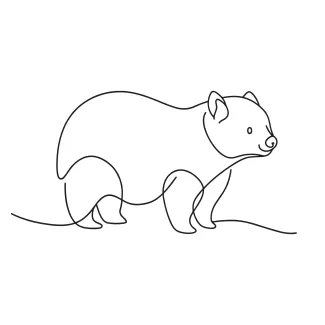 One Line Wombat Drawing: Practice Unique Wildlife Art Simply