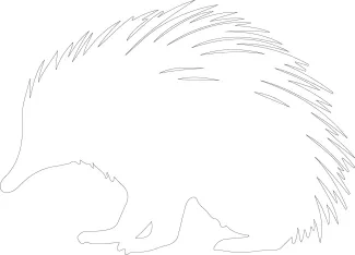 "Minimalist Echidna Drawing: Sketching a Unique Mammal with One Continuous Line"