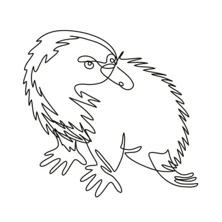 Echidna / Spiny Anteater "One Line Echidna Art: A Minimalist Approach to Capturing Wildlife Uniqueness"