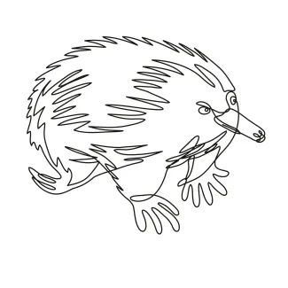 Echidna / Spiny Anteater "Minimalist Echidna Drawing: A One Line Study of Unique and Recognizable Wildlife Forms"