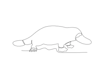 Platypus One Line Platypus Drawing: Explore Unique Animal Shapes with Easy Lines