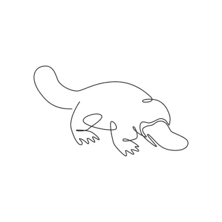 Platypus "Minimalist Platypus Sketch: A One Line Study of Unique and Recognizable Wildlife Forms"