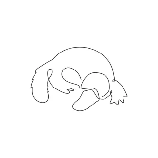 Platypus "One Line Platypus Sketch: A Minimalist Approach to Wildlife Oddities"