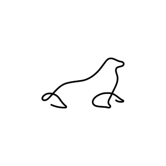 Monk Seal Monk Seal One Line Drawing for Exploring Marine Animal Shapes