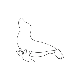 Sea Lion Beginner Sea Lion Drawing in One Line for Marine Animal Study